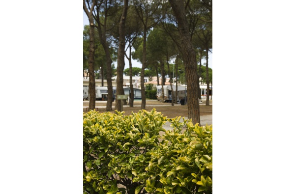 L'Escala ***