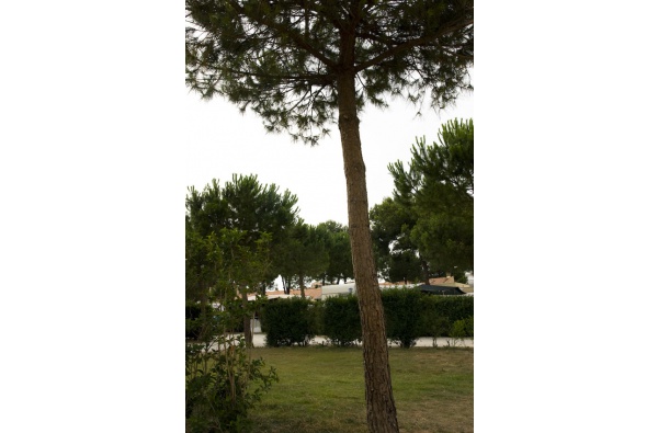 L'Escala ***