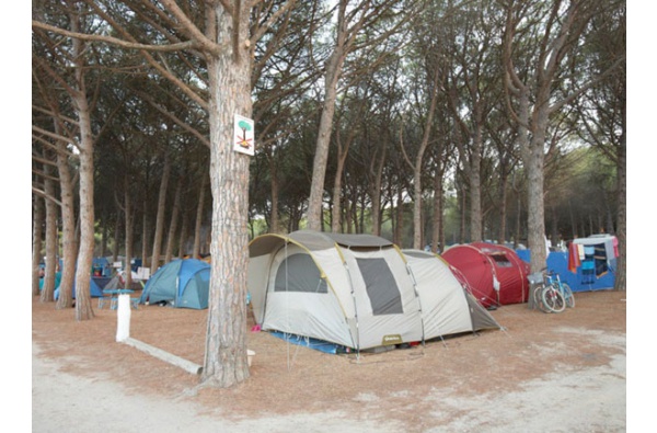Camping Riells **