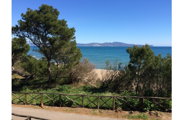 La Palmera 1 With sea views