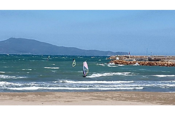 Windsurf y Surf