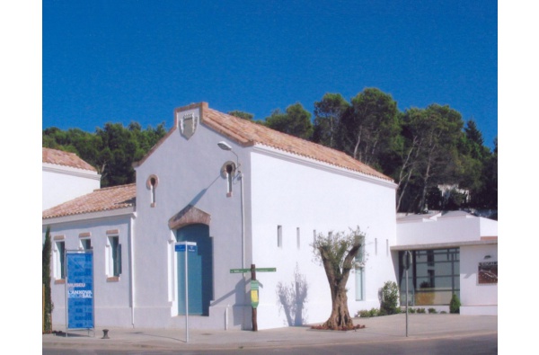 Ruta marinera + tastet d'anxoves