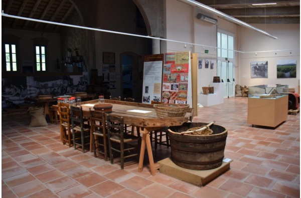 1.- Museu de l'Anxova i la Sal (MASLE)