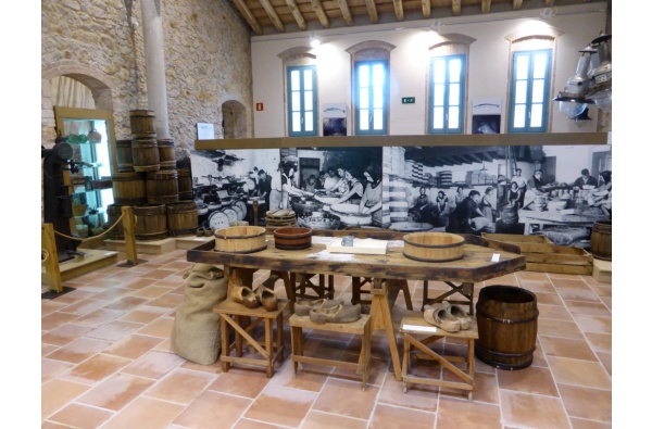 1.- Museu de l'Anxova i la Sal (MASLE)