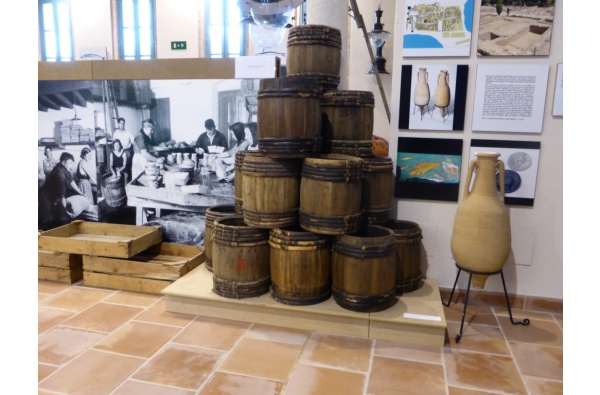 1.- Museu de l'Anxova i la Sal (MASLE)
