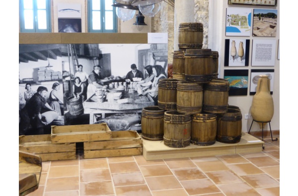 1.- Museu de l'Anxova i la Sal (MASLE)