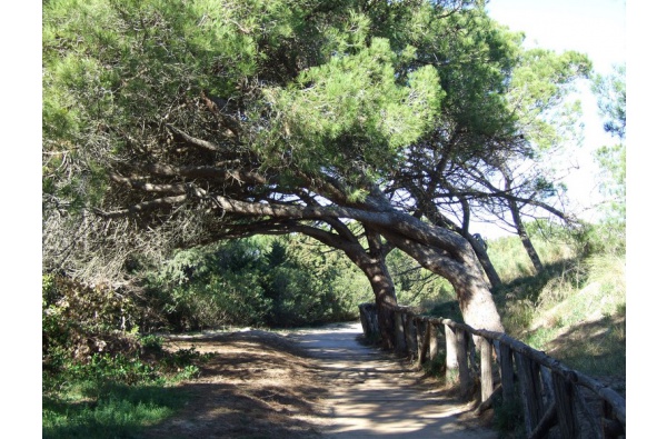 L’Escala et la nature