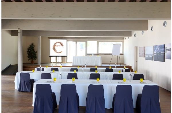 Congresses, meetings and incentive programmes