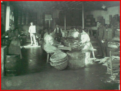 Usines d'anchois