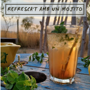 REFRESCA'T AMB UN MOJITO