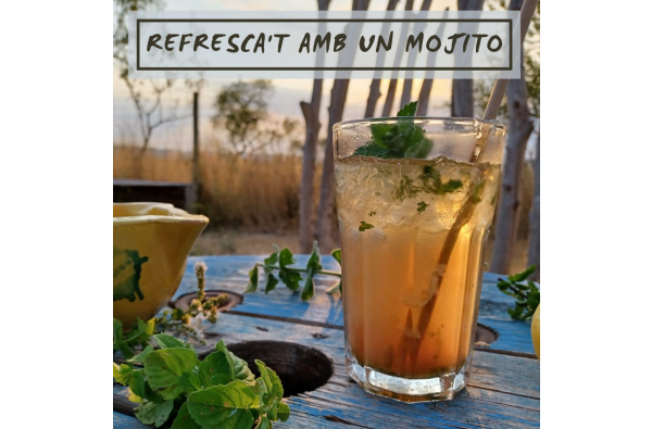 REFRESH YOURSELF WITH A MOJITO